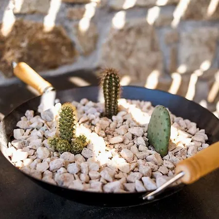 Appart hôtel Sea Rock & Sky Private 3*