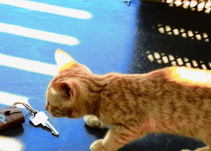 Sea Rock And Sky Private Merchia Beach